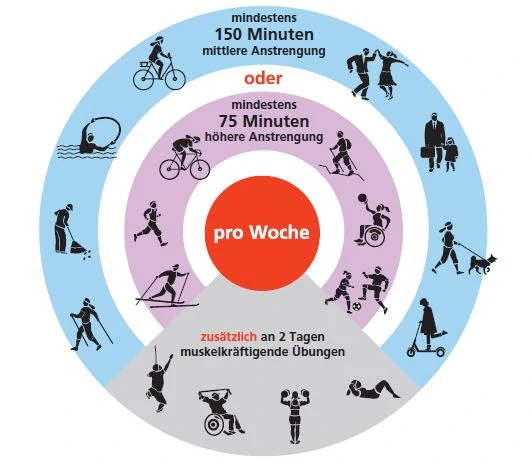 Bewegungsempfehlung für Erwachsene